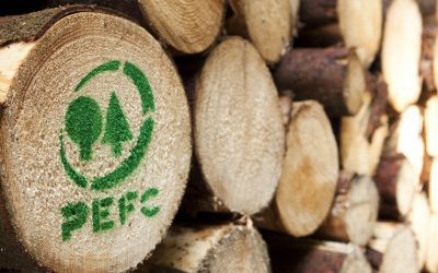 In che modo le aziende potranno beneficiare del PEFC ai sensi del regolamento sulla deforestazione dell’UE?