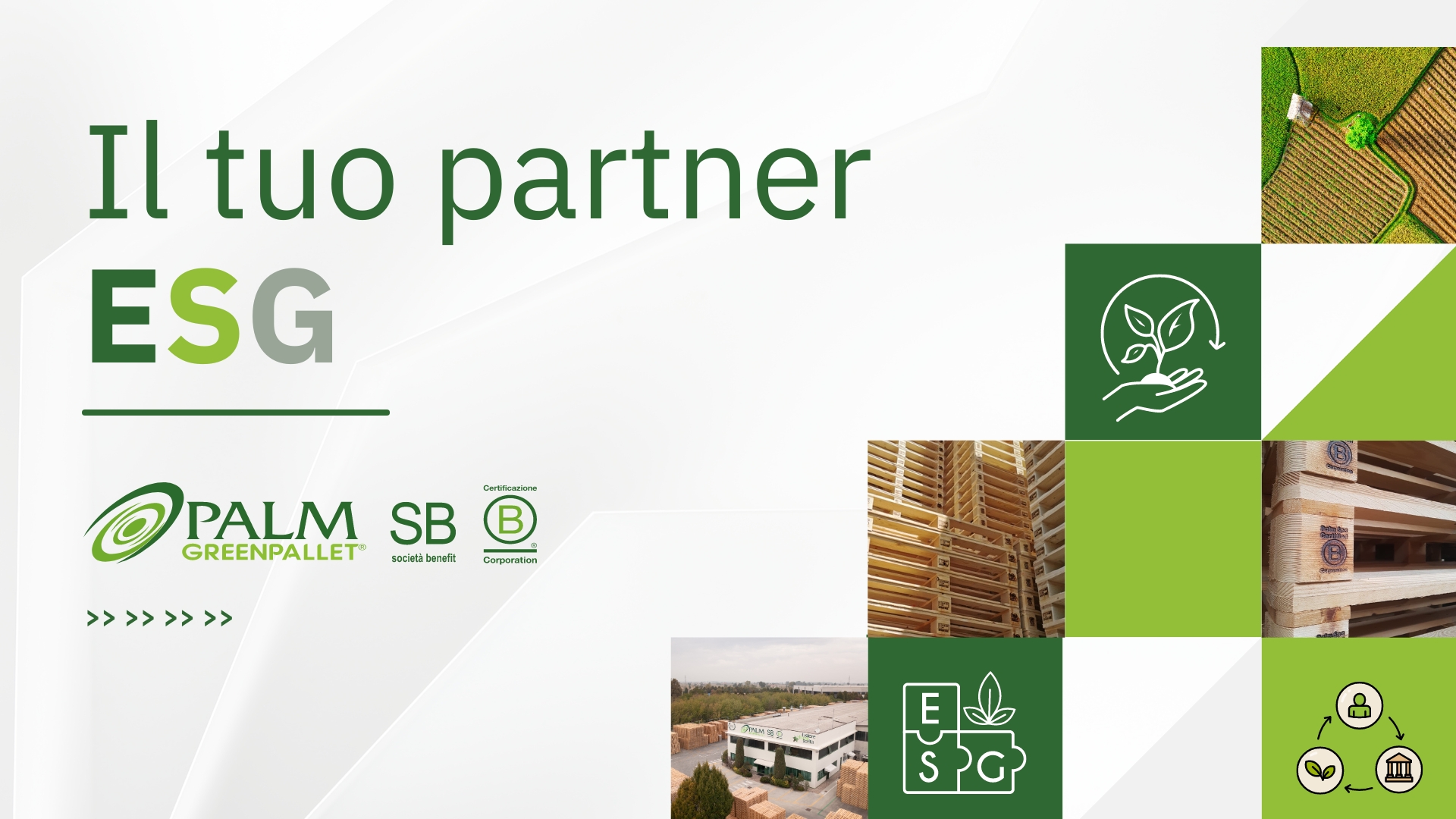 PALM - Il tuo partner ESG